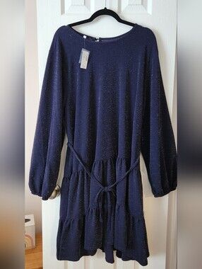 Maurices 2X Navy Dress with Silver Sparkle